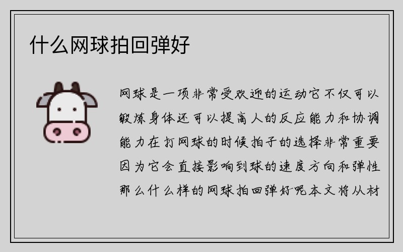 什么网球拍回弹好